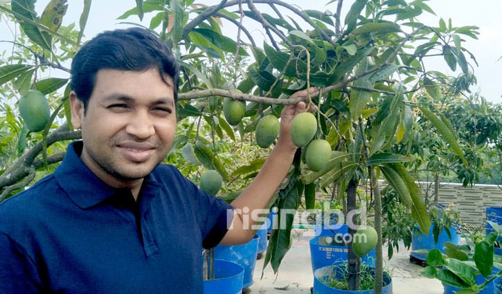 ছাদ বাগান গড়ে সাড়া ফেলেছেন ডা. মোতালিব