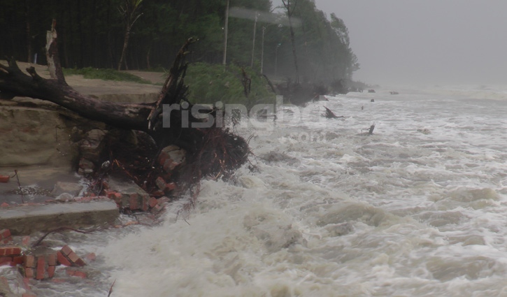 সমুদ্রে বিলীন হচ্ছে ঝাউ বাগান, সৌন্দর্য হারাচ্ছে সৈকত সমুদ্রে বিলীন হচ্ছে ঝাউ বাগান, সৌন্দর্য হারাচ্ছে সৈকত