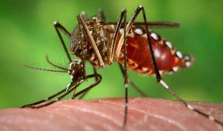 Woman dies of dengue at DMCH