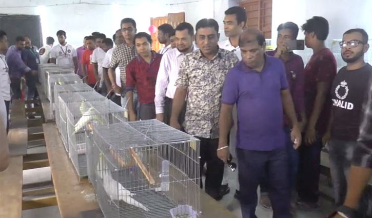 প্রদর্শনীতে রঙ-বেরঙের পাখি প্রদর্শনীতে রঙ-বেরঙের পাখি