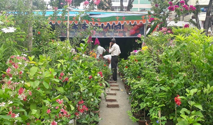 খুলনা সার্কিট হাউজ ময়দানে বৃক্ষপ্রেমীদের ভিড় খুলনা সার্কিট হাউজ ময়দানে বৃক্ষপ্রেমীদের ভিড়