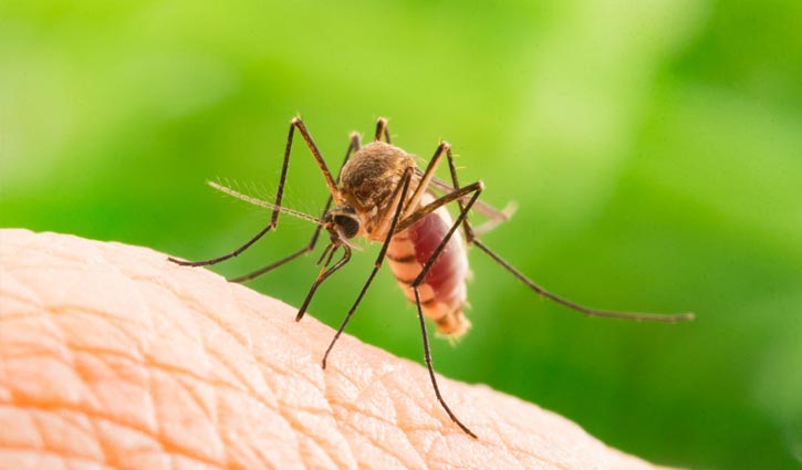 Another dies of dengue at DMCH