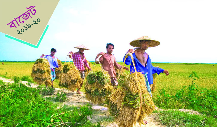 কৃষিতে বরাদ্দ ১৪ হাজার ৫৩ কোটি টাকা কৃষিতে বরাদ্দ ১৪ হাজার ৫৩ কোটি টাকা