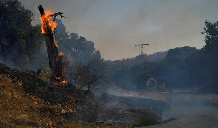 ফ্রান্সে দাবানল নেভাতে ৭০০ কর্মী