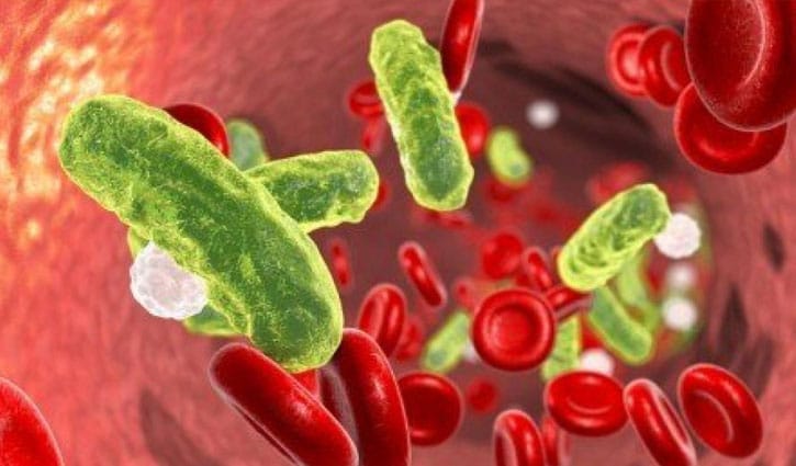 রক্তদূষণের ১১ লক্ষণ