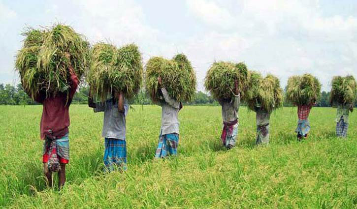 Data collection for Agriculture Census begins Sunday