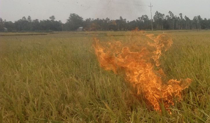 PM directs probe into paddy field fire incident