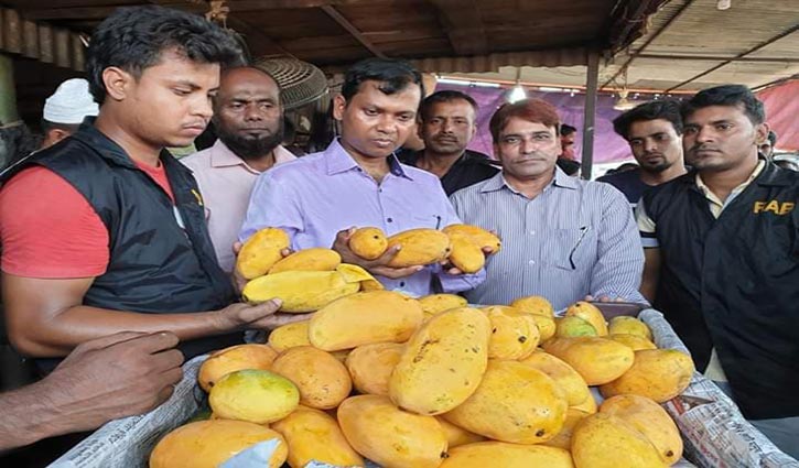 400 maunds mangoes destroyed, Tk 24 lakh fined