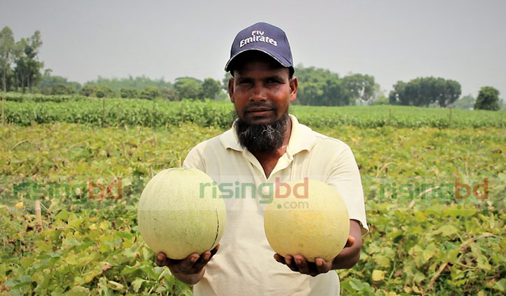 স্বাবলম্বী হওয়ার পথ দেখাচ্ছে বিদেশী ‘ক্যান্টালোপ’ স্বাবলম্বী হওয়ার পথ দেখাচ্ছে বিদেশী ‘ক্যান্টালোপ’