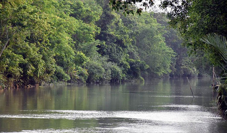 4 killed in Sundarbans ‘gunfight’