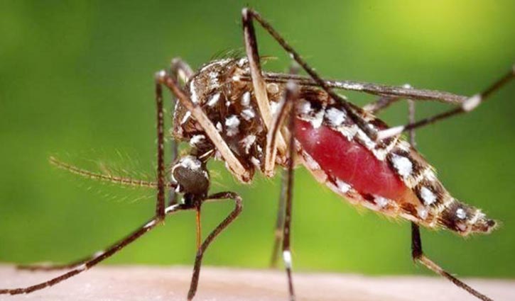 Woman dies of dengue