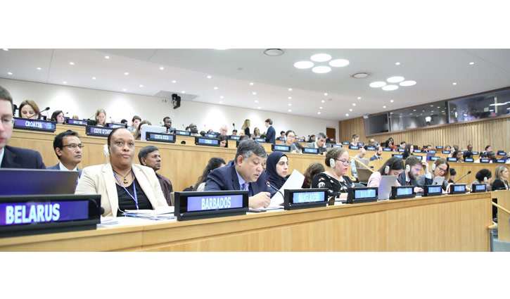 Resolution on Rohingyas’ HR situation adopted