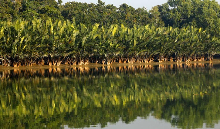 অপরাজেয় সুন্দরবন অপরাজেয় সুন্দরবন