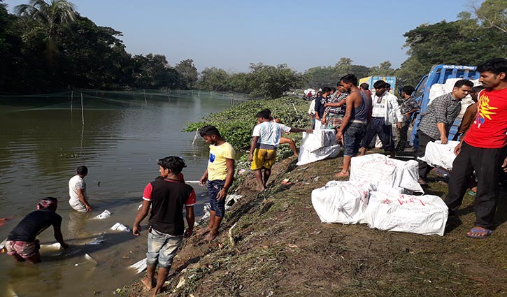 ইলিশ বোঝাই ট্রাক খাদে, নিহত ২ ইলিশ বোঝাই ট্রাক খাদে, নিহত ২