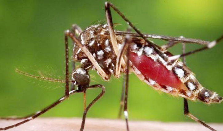 HC asks for number of dengue death