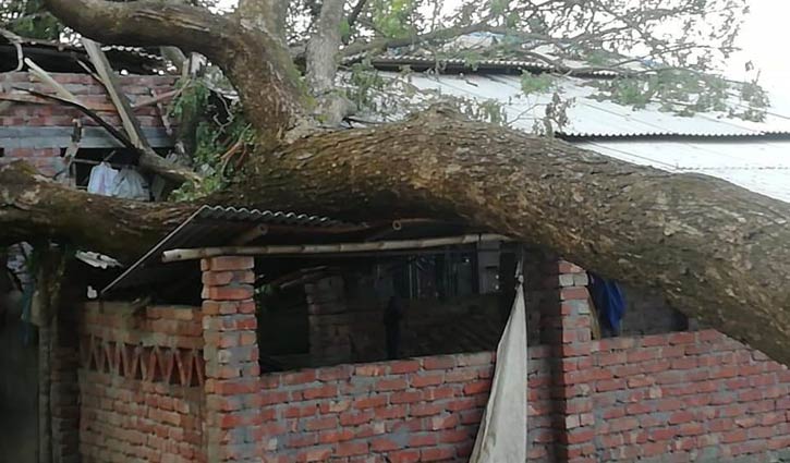 পিরোজপুরে শত কোটি টাকার ক্ষয়ক্ষতি পিরোজপুরে শত কোটি টাকার ক্ষয়ক্ষতি