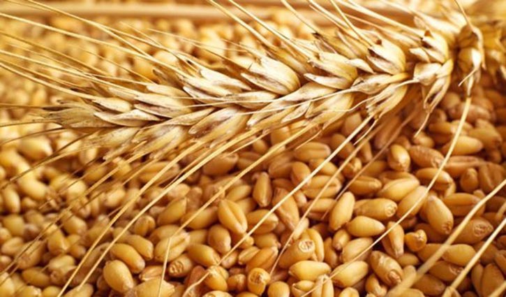 Govt decides to import 50k tonne wheat