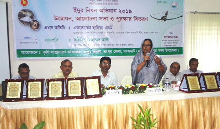 ইঁদুর মেরে পুরস্কার: ইঁদুর নিয়ে তথ্যচিত্র ইঁদুর মেরে পুরস্কার: ইঁদুর নিয়ে তথ্যচিত্র