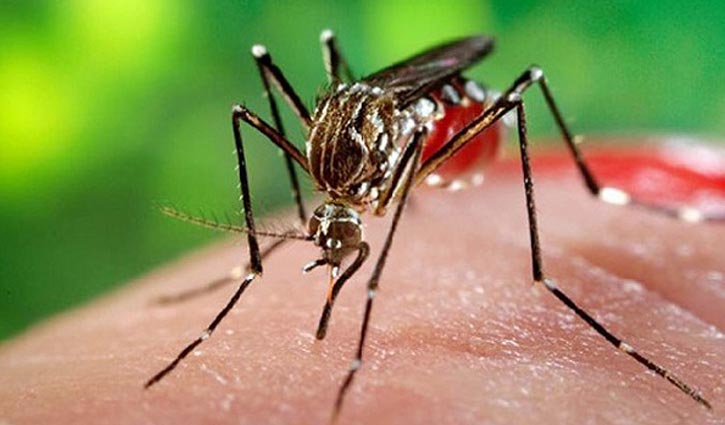 One dies of dengue in Barishal