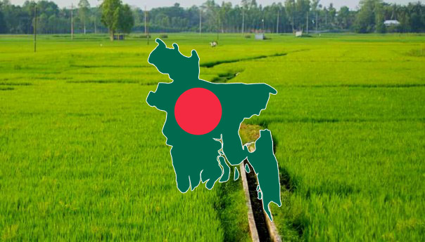 বাংলাদেশ নামের ইতিহাস