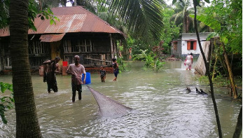 বাড়ির উঠানে মাছ শিকার