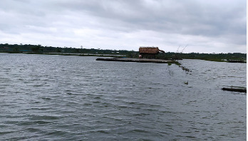 বাগেরহাটে চিংড়ির সঙ্গে জড়িতরা চরম হতাশায়