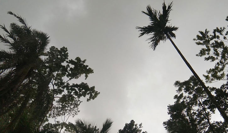 বরগুনা উপকূলে ঝড়ো হাওয়া ও ভারী বৃষ্টি বরগুনা উপকূলে ঝড়ো হাওয়া ও ভারী বৃষ্টি
