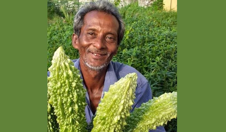 হাটহাজারীতে সবজি চাষিদের মুখে হাসি হাটহাজারীতে সবজি চাষিদের মুখে হাসি