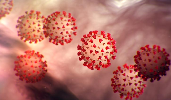 করোনা কেড়ে নিলো আরও ২ প্রাণ, নতুন আক্রান্ত ৫৭১