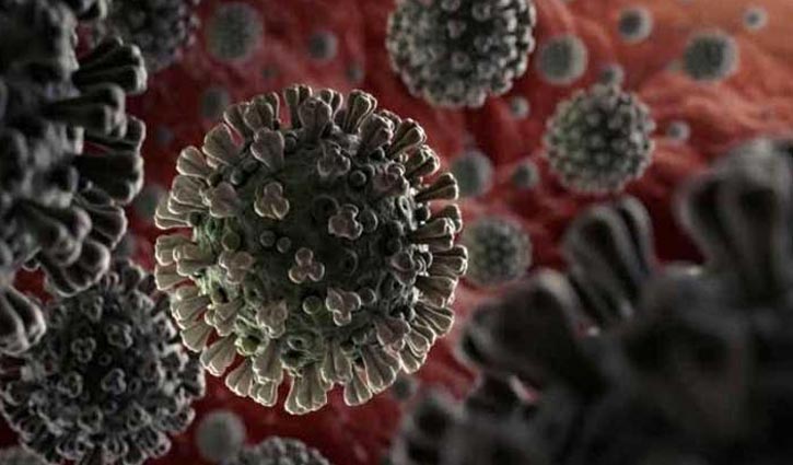 3 more infected with coronavirus in Pirojpur