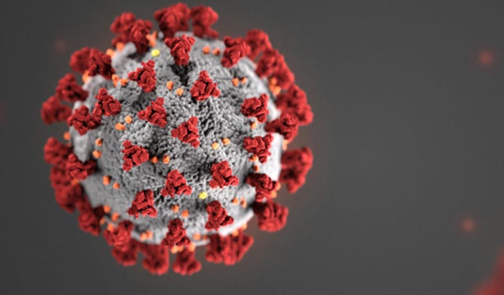 OC among 12 newly infected with virus in Tangail