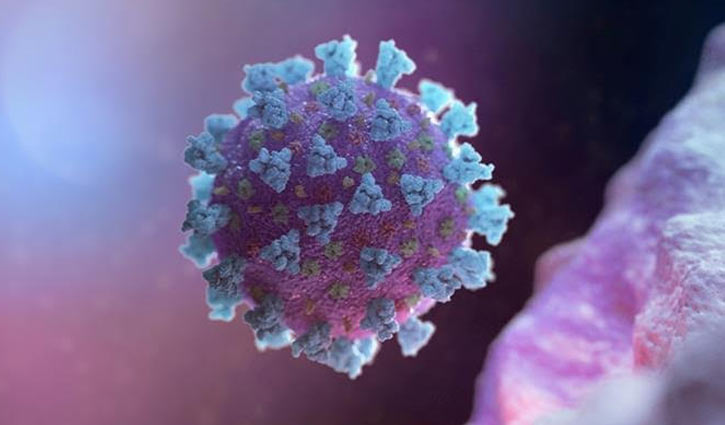Jashore reports 9 more coronavirus cases 