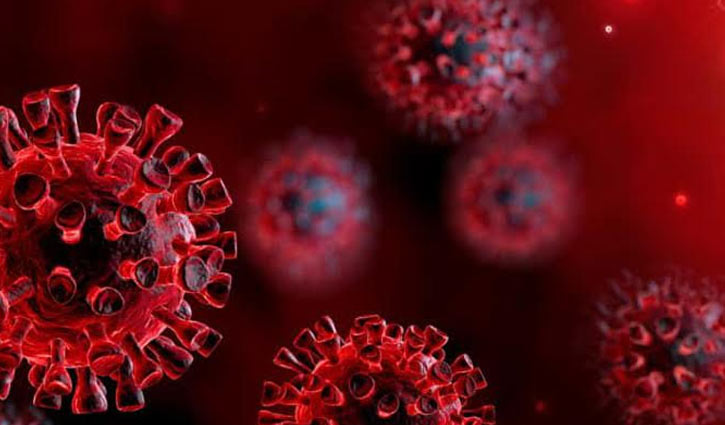 Two more detected with coronavirus positive in Nilphamari