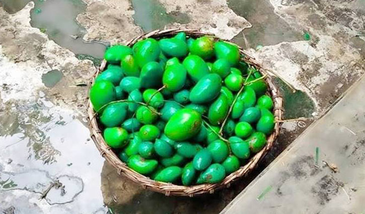 চাঁপাইনবাবগঞ্জে কালবৈশাখীতে আম-ধানের ক্ষতি চাঁপাইনবাবগঞ্জে কালবৈশাখীতে আম-ধানের ক্ষতি