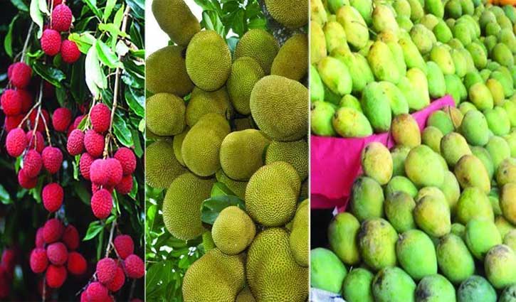 মৌসুমি ফল বাজারজাত নিয়ে সরকারের যত পদক্ষেপ মৌসুমি ফল বাজারজাত নিয়ে সরকারের যত পদক্ষেপ
