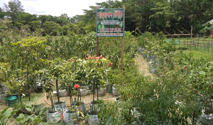 করোনায় ক্ষতিগ্রস্ত নার্সারি মালিকরা করোনায় ক্ষতিগ্রস্ত নার্সারি মালিকরা