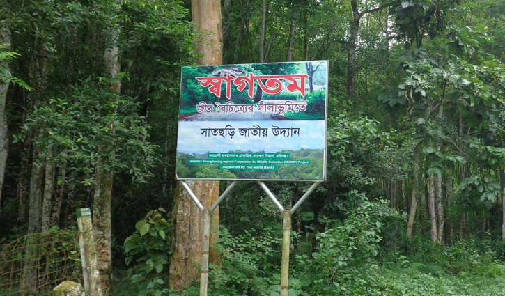 ঈদে সাতছড়িতে পর্যটক বন্ধে টহল জোরদার ঈদে সাতছড়িতে পর্যটক বন্ধে টহল জোরদার