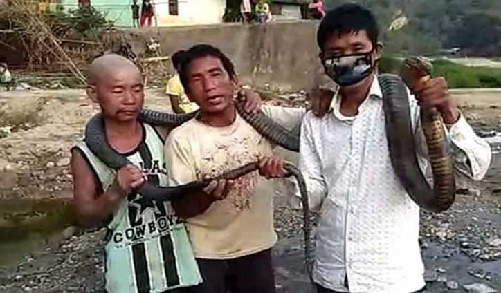 লকডাউনে খাবার না পেয়ে সাপ লকডাউনে খাবার না পেয়ে সাপ