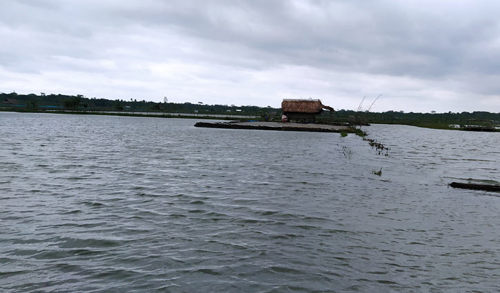 বাগেরহাটে চিংড়ির সঙ্গে জড়িতরা চরম হতাশায়