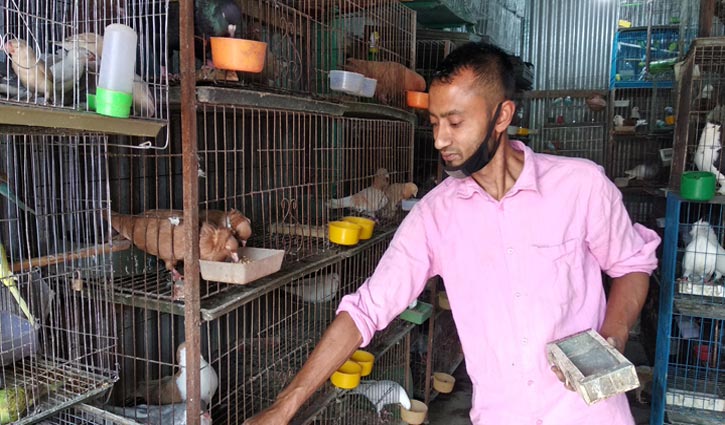 করোনায় করুণ দশা পাখিদের, বাঁচানোর চেষ্টা করছেন হারুন