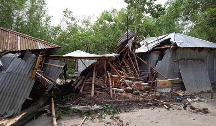 বগুড়ায় ঝড় ও শিলাবৃষ্টিতে ফসলের ক্ষতি বগুড়ায় ঝড় ও শিলাবৃষ্টিতে ফসলের ক্ষতি