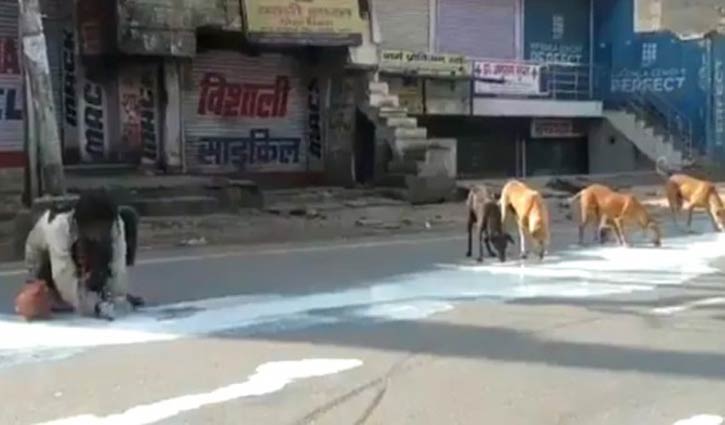 ক্ষুধায় মানুষ আর কুকুর এক কাতারে