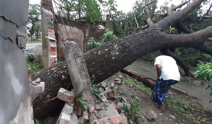 Cyclone Amphan takes 12 lives in Jashore