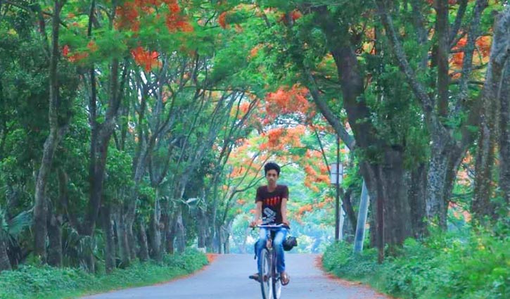যে সড়কে কৃষ্ণচূড়া ছড়িয়েছে লাল আগুন যে সড়কে কৃষ্ণচূড়া ছড়িয়েছে লাল আগুন