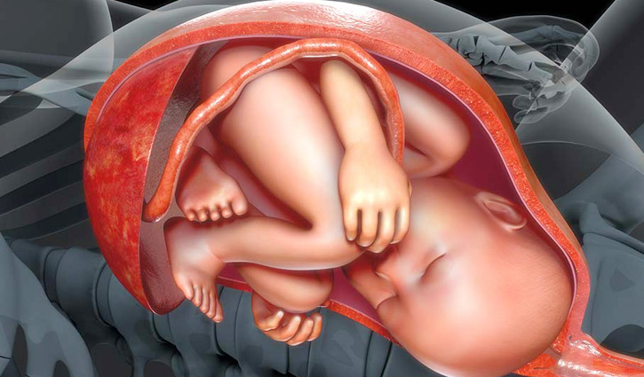 গর্ভফুল ক্ষতিগ্রস্ত করতে পারে করোনাভাইরাস: গবেষণা