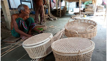 খাদ্য সংকটে মানবেতর জীবন সিরাজদিখানের বেতশিল্পীদের