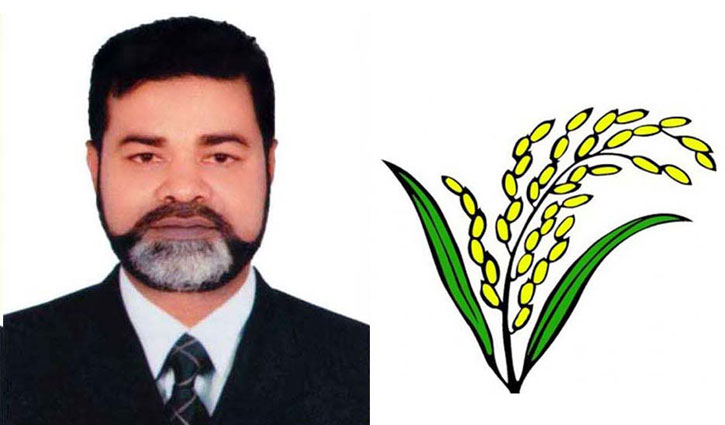 নৌকাকে হারিয়ে ধানের শীষের হ্যাটট্রিক নৌকাকে হারিয়ে ধানের শীষের হ্যাটট্রিক
