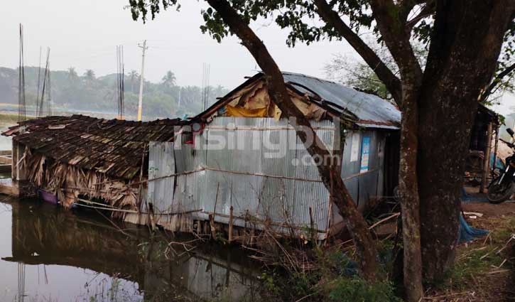 স্বামী জঙ্গি সংগঠনের সঙ্গে জড়িত, বিশ্বাস হচ্ছে না হাবিবার