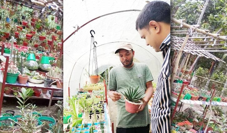ক্যাকটাসে আলতাফের ভাগ্য বদল ক্যাকটাসে আলতাফের ভাগ্য বদল