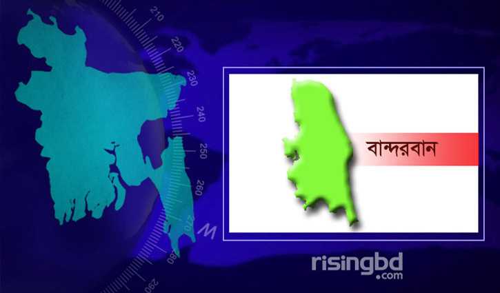 লামায় পিকআপ চাপায় শিশু নিহত লামায় পিকআপ চাপায় শিশু নিহত